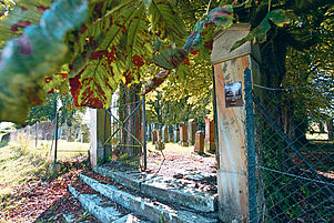 Bedrohte Idylle: Auf 10000 Quadratmetern erstreckt sich der Friedhof der einst größten jüdischen Landgemeinde der Pfalz. Foto: VAN