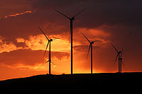 Windräder sind eine Möglichkeit, Geld nachhaltig anzulegen. Foto: Stepan